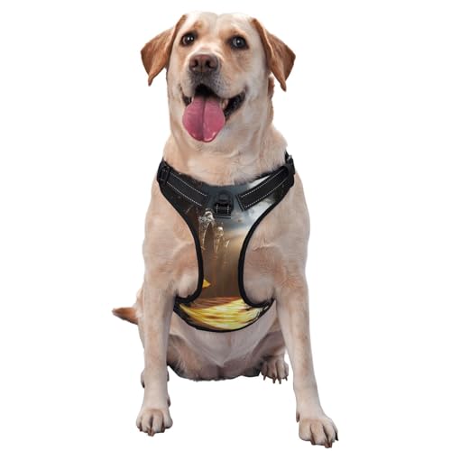 Golden Heavenly Light Rose Hintergrund Premium-Hundegeschirr für kleine, mittelgroße und große Hunde, langlebig, kein Ziehen, mit reflektierenden Riemen und Schnellverschluss-Schnallen, Größe L Golden Heavenly Light Rose Hintergrund Premium-Hundegeschirr für kleine, mittelgroße und große Hunde, langlebig, kein Ziehen, mit reflektierenden Riemen und Schnellverschluss-Schnallen, Größe L von YVNKHKU