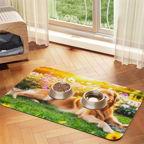 Golden Retriever Futtermatte für Hunde und Katzen, saugfähig, Leder, Tischdecke für Wassernapf, wasserdicht, keine Flecken, schnell trocknend, rutschfest, 60 x 40 cm von YVNKHKU