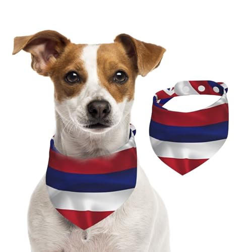 Halstuch für Hunde und Hunde, Motiv: Flagge von Hawaii, für Frühling und Sommer, weiche Baumwolle, verstellbares Zubehör für kleine, mittelgroße und große Mädchen, Jungen, Welpen, Größe M von YVNKHKU