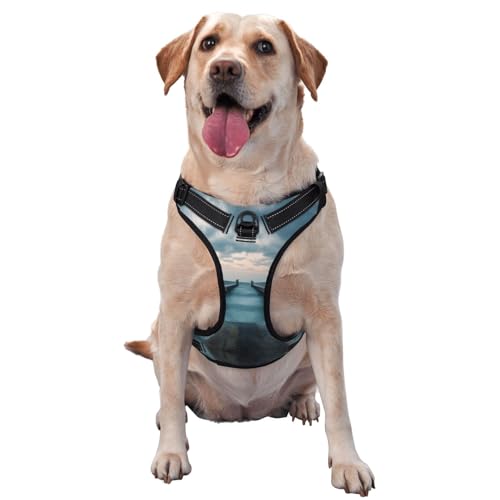 Horizon Premium-Hundegeschirr für kleine, mittelgroße und große Hunde, langlebig, kein Ziehen, mit reflektierenden Riemen und Schnellverschluss-Schnallen, Größe L, Türkis Horizon Premium-Hundegeschirr für kleine, mittelgroße und große Hunde, langlebig, kein Ziehen, mit reflektierenden Riemen und Schnellverschluss-Schnallen, Größe L, Türkis von YVNKHKU