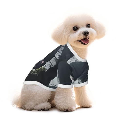 Hunde-T-Shirt, Motiv: Feige Maus, für Welpen, Haustiere, elastisches Tank-Top, Kleidung, für Hunde und Katzen, niedlich, atmungsaktiv, weich, Größe M von YVNKHKU