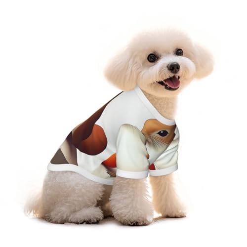 Hunde-T-Shirt mit Eichhörnchenkönig-Motiv, für Welpen, Haustiere, elastisch, für Hunde und Katzen, niedlich, atmungsaktiv, weich, Größe S von YVNKHKU