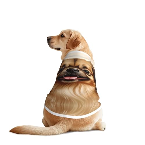 Hundeshirt mit niedlichem Zwergspitz, atmungsaktiv, kühlend für große Hunde, Sonnenschutz, Komfort für Golden Retriever, Husky, Alaska, Outdoor-Aktivitäten, Größe XL Hundeshirt mit niedlichem Zwergspitz, atmungsaktiv, kühlend für große Hunde, Sonnenschutz, Komfort für Golden Retriever, Husky, Alaska, Outdoor-Aktivitäten, Größe XL von YVNKHKU