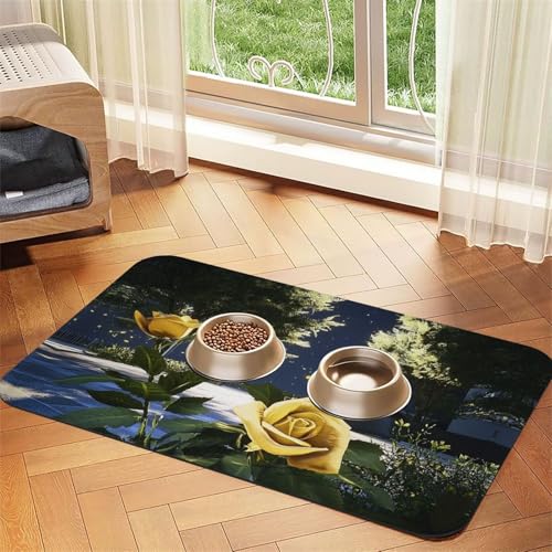 Jupiter Futternapfmatte für Hunde und Katzen, saugfähige Leder-Tischdecke für Wassernapf, wasserdicht, keine Flecken, schnell trocknend, rutschfest, 60 x 40 cm Jupiter Futternapfmatte für Hunde und Katzen, saugfähige Leder-Tischdecke für Wassernapf, wasserdicht, keine Flecken, schnell trocknend, rutschfest, 60 x 40 cm von YVNKHKU