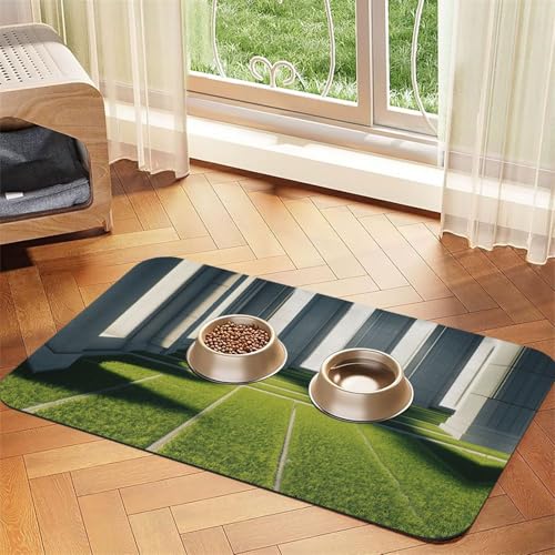 Lawn Under Arches and Pillars Futtermatte für Hunde und Katzen, saugfähig, Leder, Tischdecke für Wassernapf, wasserdicht, keine Flecken, schnell trocknend, rutschfest, 45 x 30 cm von YVNKHKU