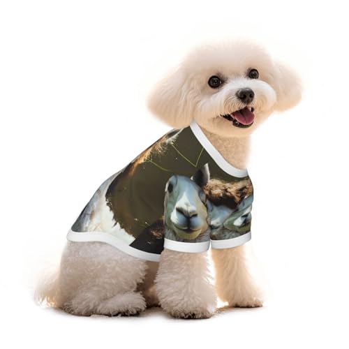 Modisches T-Shirt für Hunde und Katzen, niedlich, atmungsaktiv, weich, Größe L von YVNKHKU
