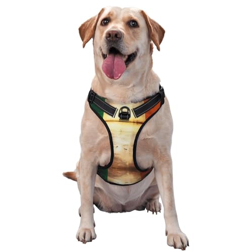 Premium-Hundegeschirr mit irischer Flagge für kleine, mittelgroße und große Hunde, langlebig, kein Ziehen, mit reflektierenden Riemen und Schnellverschluss-Schnallen, Größe XL Premium-Hundegeschirr mit irischer Flagge für kleine, mittelgroße und große Hunde, langlebig, kein Ziehen, mit reflektierenden Riemen und Schnellverschluss-Schnallen, Größe XL von YVNKHKU