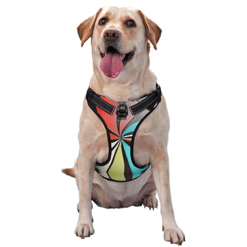 Premium-Hundegeschirr mit umgekehrter Regenbogen-Dartplatte, für kleine, mittelgroße und große Hunde, langlebig, kein Ziehen, mit reflektierenden Riemen und Schnellverschluss-Schnallen, Größe S Premium-Hundegeschirr mit umgekehrter Regenbogen-Dartplatte, für kleine, mittelgroße und große Hunde, langlebig, kein Ziehen, mit reflektierenden Riemen und Schnellverschluss-Schnallen, Größe S von YVNKHKU