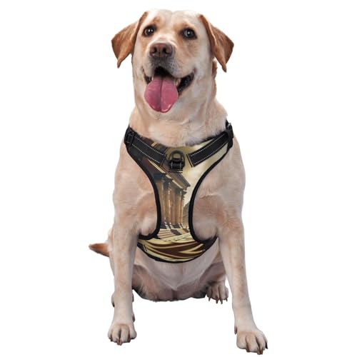 Pyramid Portal Premium-Hundegeschirr für kleine, mittelgroße und große Hunde, langlebig, kein Ziehen, mit reflektierenden Riemen und Schnellverschluss-Schnallen, Größe S Pyramid Portal Premium-Hundegeschirr für kleine, mittelgroße und große Hunde, langlebig, kein Ziehen, mit reflektierenden Riemen und Schnellverschluss-Schnallen, Größe S von YVNKHKU