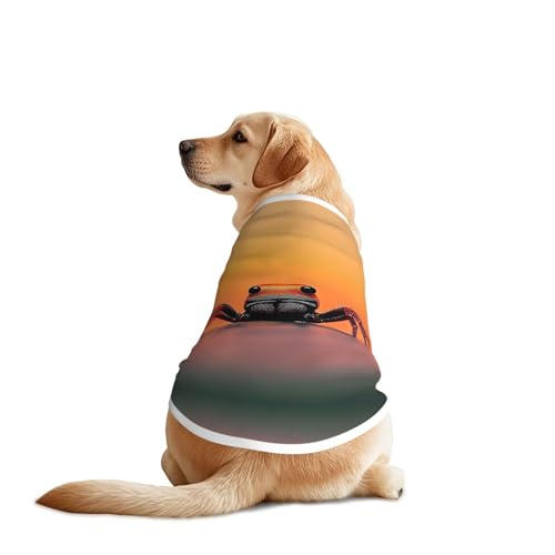 Red Horizon Hunde-Shirt, Hundebekleidung, atmungsaktiv, kühlend für große Hunde, Sonnenschutz, Komfort, für Golden Retriever, Husky, Alaska, Outdoor-Aktivitäten, Größe XXL Red Horizon Hunde-Shirt, Hundebekleidung, atmungsaktiv, kühlend für große Hunde, Sonnenschutz, Komfort, für Golden Retriever, Husky, Alaska, Outdoor-Aktivitäten, Größe XXL von YVNKHKU
