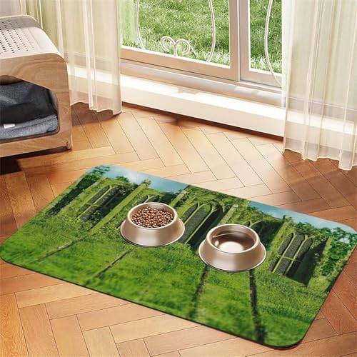 Secret Temple Futtermatte für Hunde und Katzen, mit Unkraut überwuchert, saugfähig, Leder, Tischdecke für Wassernapf, wasserdicht, keine Flecken, schnell trocknend, rutschfest, 60 x 40 cm Secret Temple Futtermatte für Hunde und Katzen, mit Unkraut überwuchert, saugfähig, Leder, Tischdecke für Wassernapf, wasserdicht, keine Flecken, schnell trocknend, rutschfest, 60 x 40 cm von YVNKHKU