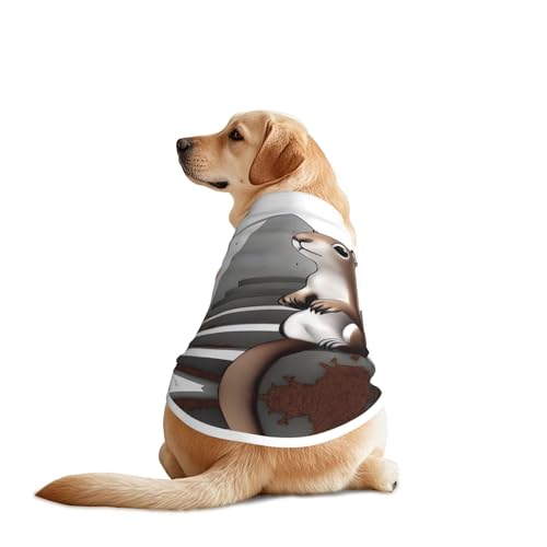 Soft Shadow, Eichhörnchen King Hundeweste, Hundekleidung, atmungsaktiv, kühlend für große Hunde, Sonnenschutz, Komfort, für Golden Retriever, Husky, Alaska, Outdoor-Aktivitäten, Größe 4XL Soft Shadow, Eichhörnchen King Hundeweste, Hundekleidung, atmungsaktiv, kühlend für große Hunde, Sonnenschutz, Komfort, für Golden Retriever, Husky, Alaska, Outdoor-Aktivitäten, Größe 4XL von YVNKHKU