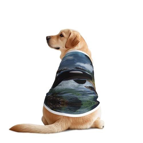 The Fusion of Killer Whales and Forests Hunde-Shirt, atmungsaktiv, kühlend für große Hunde, Sonnenschutz, Komfort, für Golden Retriever, Husky, Alaska, Outdoor-Aktivitäten, Größe XXL von YVNKHKU