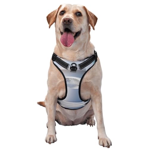 Weißes minimalistisches Hundegeschirr mit Hintergrundfisch, Premium-Hundegeschirr für kleine, mittelgroße und große Hunde, langlebig, kein Ziehen, mit reflektierenden Riemen und Weißes minimalistisches Hundegeschirr mit Hintergrundfisch, Premium-Hundegeschirr für kleine, mittelgroße und große Hunde, langlebig, kein Ziehen, mit reflektierenden Riemen und von YVNKHKU