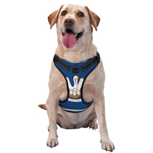 qtyvgtic Premium-Hundegeschirr für kleine, mittelgroße und große Hunde, langlebig, kein Ziehen, mit reflektierenden Riemen und Schnellverschluss-Schnallen, Größe S qtyvgtic Premium-Hundegeschirr für kleine, mittelgroße und große Hunde, langlebig, kein Ziehen, mit reflektierenden Riemen und Schnellverschluss-Schnallen, Größe S von YVNKHKU