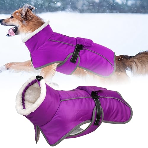 Bekleidung Hemden Kleider Anzüge Wintermantel für Hunde, Hundejacke für kaltes Wetter mit Polsterung, Hundeweste mit integrierter warmer Haustierkleidung, Hundebekleidung mit Schöne (B, One Size) von YWBleked