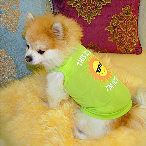 YWBleked Haustier Hund Warm Mantel T Shirt Katze Haustier Hund Kleidung Shirt Kleine Lollipop Sommer Weste Haustier Welpen Haustier Kleidung Hundepullover Sinnvoll (Green, S) von YWBleked