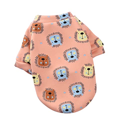 YWBleked Hund Halloween Kostüm Haustier Kleidung verdicken warme modische Geschenke Haustier Winter Weihnachten Haustierkleidung Hund für Hunde Haustierkleidung Chihuahua Strickpullover (C, One Size) von YWBleked