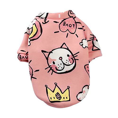 YWBleked Hund Halloween Kostüm Haustier Kleidung verdicken warme modische Geschenke Haustier Winter Weihnachten Haustierkleidung Hund für Hunde Haustierkleidung Chihuahua Strickpullover (D, One Size) von YWBleked