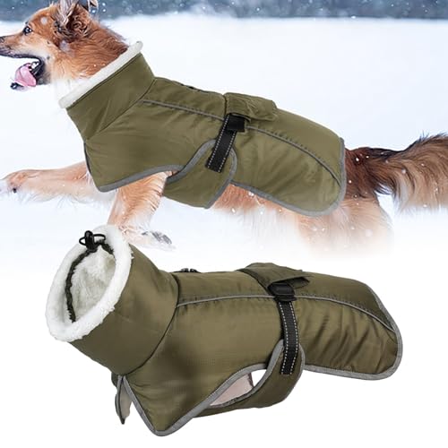 Hunde Katzen Haustier Kostüme Wintermantel für Hunde, Hundejacke für kaltes Wetter mit Polsterung, Hundeweste mit integrierter warmer Haustierkleidung, Hundebekleidung Wintermantel Für (B, One Size) Hunde Katzen Haustier Kostüme Wintermantel für Hunde, Hundejacke für kaltes Wetter mit Polsterung, Hundeweste mit integrierter warmer Haustierkleidung, Hundebekleidung Wintermantel Für (B, One Size) von YWBleked