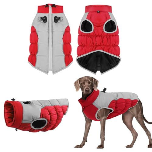 Hunde Niedlich Ärmellos Kleidung Warmer Wintermantel für Hunde, Hundemantel aus Fleece, Hundejacke mit integriertem Geschirr, winddicht, Hundemantel für kaltes Wetter, Hundebekleidung (G, 30x20 cm) von YWBleked
