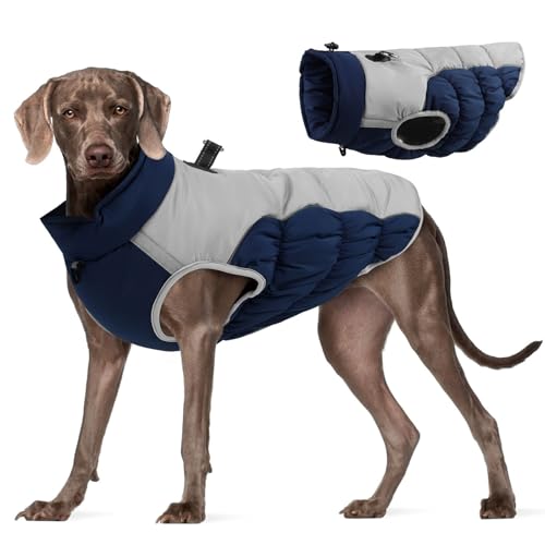 Hunde Niedlich Ärmellos Kleidung Warmer Wintermantel für Hunde, Hundemantel aus Fleece, Hundejacke mit integriertem Geschirr, winddicht, Hundemantel für kaltes Wetter, Hundebekleidung (L, 31x21 cm) von YWBleked