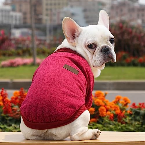 Hundekleidung Haustier Hemd Hundepullover Klassischer warmer Haustierpullover Haustierhundekleidung Gestrickter warmer Hundepyjama kleiner Hund Welpen Haustierkleidung Für Mädchen Mit Großen (B, XL) von YWBleked