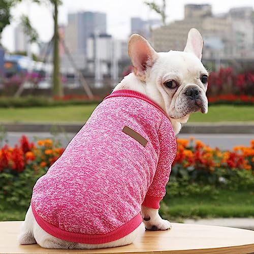 Hundekleidung Haustier Hemd Hundepullover Klassischer warmer Haustierpullover Haustierhundekleidung Gestrickter warmer Hundepyjama kleiner Hund Welpen Haustierkleidung Für Mädchen Mit Großen (H, XS) von YWBleked