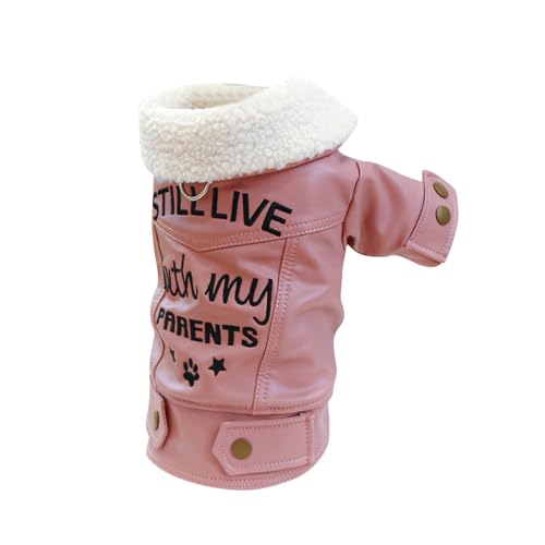 YWBleked Hundepullover Kleine Hunde Haustier-Kreis-Kleidung für Hunde Katzen, Dicker, Dicker, gepolsterter Mantel, guter, Hundemantel Warmer Bauch (A, M) von YWBleked