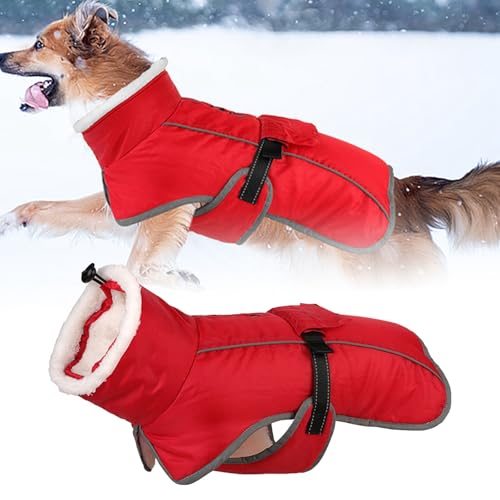 Kleidung Haustier Mantel Kostüm Wintermantel für Hunde, Hundejacke für kaltes Wetter mit Polsterung, Hundeweste mit integrierter warmer Haustierkleidung, Hundebekleidung mit Hundemantel (B, One Size) von YWBleked