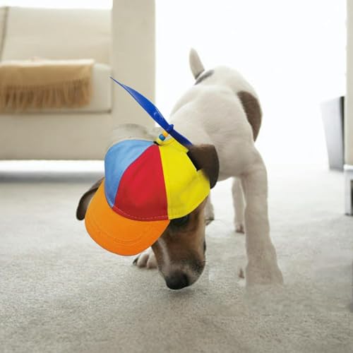 Propellerhut für Haustiere, Bunter Propellerhut mit Lustigem Propeller mit Ohrlöchern, Verstellbar, Abnehmbarer Propeller, Geeignet für Kleine Hunde und Katzen (Blau, Größe M) von YWBleked