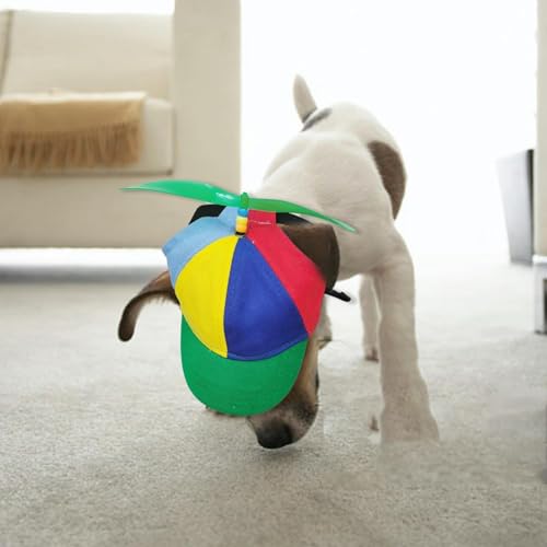 Propellerhut für Haustiere, Bunter Propellerhut mit Lustigem Propeller mit Ohrlöchern, Verstellbar, Abnehmbarer Propeller, Geeignet für Kleine Hunde und Katzen (Grün, Größe L) von YWBleked