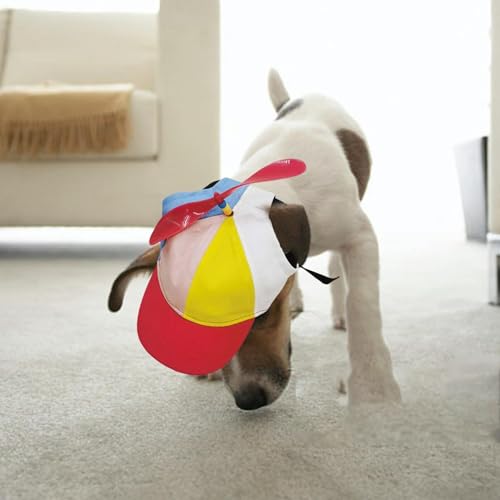 Propellerhut für Haustiere, Bunter Propellerhut mit Lustigem Propeller mit Ohrlöchern, Verstellbar, Abnehmbarer Propeller, Geeignet für Kleine Hunde und Katzen (Rot, Größe L) von YWBleked