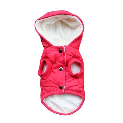 YWBleked T-Shirt mit Hundestreifen Winter gepolsterter Hundemantel Teddy Haustierkleidung Kleiner Hund gepolsterte Jacke Weste Hundejacke Geschirr (Red, L) von YWBleked