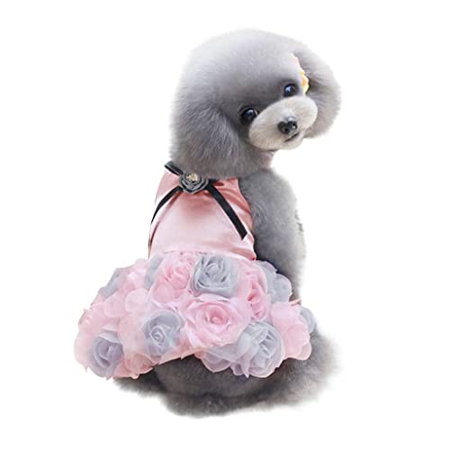YWBleked Winterjacke Hund Gefüttert Pet Dog Bottoming Rose Print Dress Kleidung Cat Lace Atmungsaktives Kleid Hunde Strickpullover Kaufen (S) von YWBleked