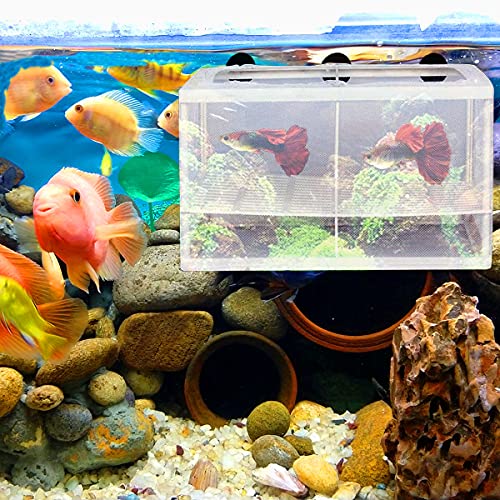 Aquarium Isolation Netz,Aquarium Fische Brutkasten,Ablaichstation Zucht Box, Aquarium Fische Brutkasten mit 2 Saugnapf für Fische Garnelen Brutkasten Zuchttanks,Lsize von YWQQ