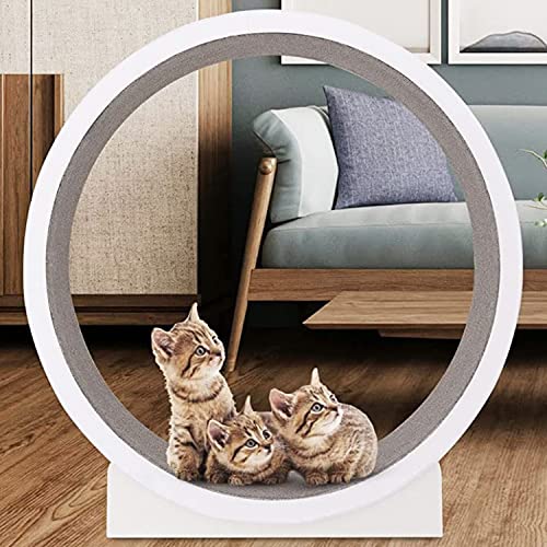 Katzen-Laufband, ideal für Gewichtsverlust und Spaß beim Spielen – Drehen, Kratzen und Klettern – ideal für alle Katzen – niedliche Katzenmöbel und Spielzeug – Riesenrad-Design. Katzen-Laufband, ideal für Gewichtsverlust und Spaß beim Spielen – Drehen, Kratzen und Klettern – ideal für alle Katzen – niedliche Katzenmöbel und Spielzeug – Riesenrad-Design. von YXBDD