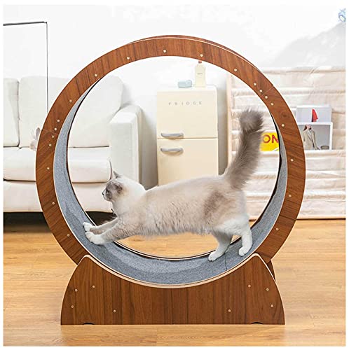 Laufrad für Indoor-Katzen, Sicherheit Anti-Pinch Silent Katzenlaufrad, Interaktives Haustierspielzeug, Katzenlaufband, Perfekt für Gewichtsverlust und Spaß beim Spielen Laufrad für Indoor-Katzen, Sicherheit Anti-Pinch Silent Katzenlaufrad, Interaktives Haustierspielzeug, Katzenlaufband, Perfekt für Gewichtsverlust und Spaß beim Spielen von YXBDD