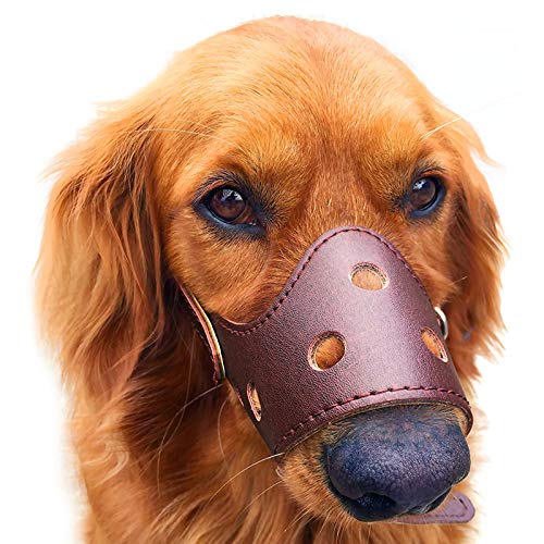 YXCUSAM Maulkorb für Hunde, verstellbar, Anti-Biss-Maulkorb, atmungsaktives Haustier für kleine, mittelgroße und große Hunde YXCUSAM Maulkorb für Hunde, verstellbar, Anti-Biss-Maulkorb, atmungsaktives Haustier für kleine, mittelgroße und große Hunde von YXCUSAM