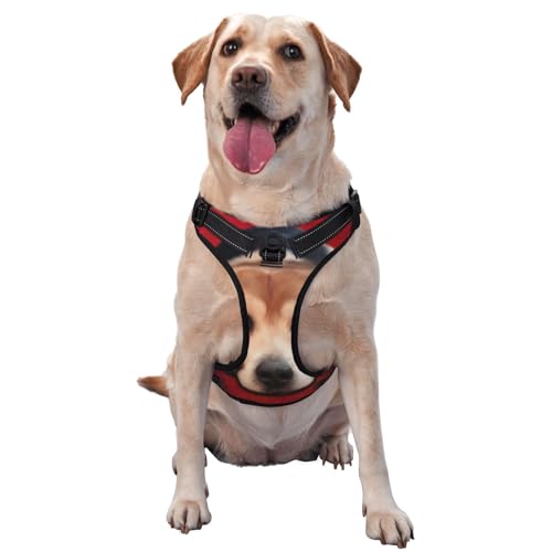 Beagle Fine Art, Haustiergeschirr, Verstellbares reflektierendes Hundegeschirr, Haustierleinenweste,XL von YXDVPALNE