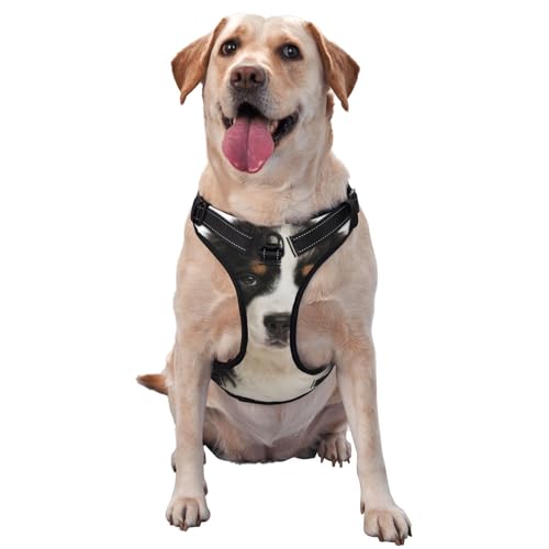 Berner Sennenhund, Haustiergeschirr, verstellbar, reflektierend, Größe S Berner Sennenhund, Haustiergeschirr, verstellbar, reflektierend, Größe S von YXDVPALNE