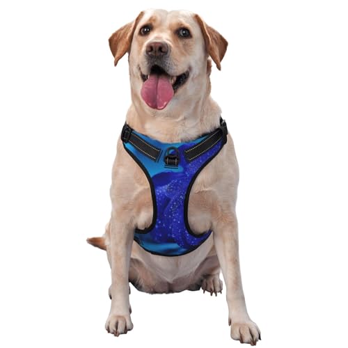 Blaue Rose, Haustiergeschirr, Verstellbares reflektierendes Hundegeschirr, Haustierleinenweste,M Blaue Rose, Haustiergeschirr, Verstellbares reflektierendes Hundegeschirr, Haustierleinenweste,M von YXDVPALNE