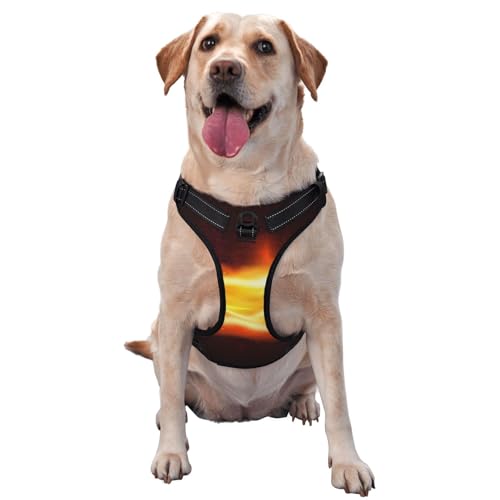 Brennendes Baseball-Feuer-Flammenmuster, Haustiergeschirr, Verstellbares reflektierendes Hundegeschirr, Haustierleinenweste,M Brennendes Baseball-Feuer-Flammenmuster, Haustiergeschirr, Verstellbares reflektierendes Hundegeschirr, Haustierleinenweste,M von YXDVPALNE