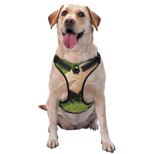 Cricketschläger und Ball, Haustiergeschirr, Verstellbares reflektierendes Hundegeschirr, Haustierleinenweste,M Cricketschläger und Ball, Haustiergeschirr, Verstellbares reflektierendes Hundegeschirr, Haustierleinenweste,M von YXDVPALNE
