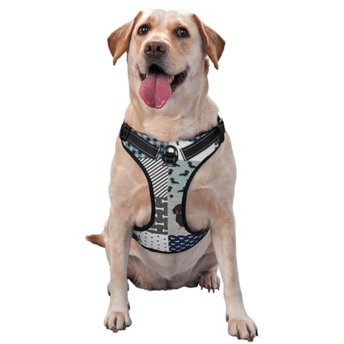 Dackel, Haustier, Hunderasse, Silhouette, Schwarz Tan, Haustiergeschirr, Verstellbares reflektierendes Hundegeschirr, Haustierleinenweste,XL Dackel, Haustier, Hunderasse, Silhouette, Schwarz Tan, Haustiergeschirr, Verstellbares reflektierendes Hundegeschirr, Haustierleinenweste,XL von YXDVPALNE