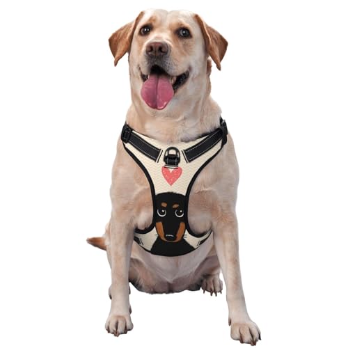 Dackel Welpenliebe, Haustiergeschirr, Verstellbares reflektierendes Hundegeschirr, Haustierleinenweste,L Dackel Welpenliebe, Haustiergeschirr, Verstellbares reflektierendes Hundegeschirr, Haustierleinenweste,L von YXDVPALNE