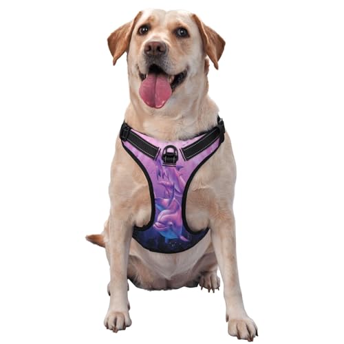 Delfine Tier, Haustiergeschirr, Verstellbares reflektierendes Hundegeschirr, Haustierleinenweste,M Delfine Tier, Haustiergeschirr, Verstellbares reflektierendes Hundegeschirr, Haustierleinenweste,M von YXDVPALNE