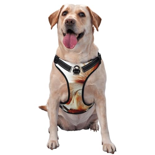 Eichhörnchenbilder gedruckt, Haustiergeschirr, Verstellbares reflektierendes Hundegeschirr, Haustierleinenweste,XL Eichhörnchenbilder gedruckt, Haustiergeschirr, Verstellbares reflektierendes Hundegeschirr, Haustierleinenweste,XL von YXDVPALNE