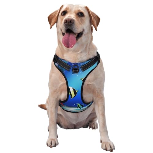 Fische Pflanzen Tropische Meerestiere Natur Leben Algen, Haustiergeschirr, Verstellbares reflektierendes Hundegeschirr, Haustierleinenweste,XL Fische Pflanzen Tropische Meerestiere Natur Leben Algen, Haustiergeschirr, Verstellbares reflektierendes Hundegeschirr, Haustierleinenweste,XL von YXDVPALNE