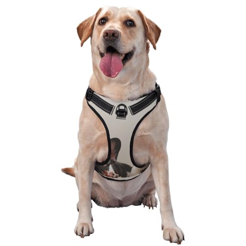 Französische Bulldogge Hundemuster, Haustiergeschirr, Verstellbares reflektierendes Hundegeschirr, Haustierleinenweste,S Französische Bulldogge Hundemuster, Haustiergeschirr, Verstellbares reflektierendes Hundegeschirr, Haustierleinenweste,S von YXDVPALNE